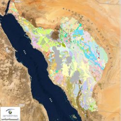 صحة المدينة : فرق طبية تواكب توافد المصلين للمسجد النبوي غداً
