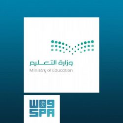 اعتراض وتدمير طائرة “مفخخة” أطلقتها المليشيا الحوثية باتجاه المملكة