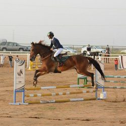بدء القبول والتسجيل لبرامج الدبلوم للفصل التدريبي الثاني بتقني بالقصيم