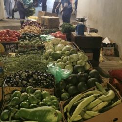وزير الرياضة يُطلق تحدي PlayItForward