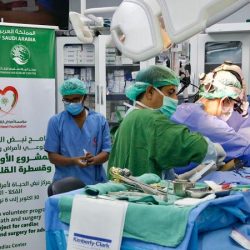 آل الشيخ : علينا أن ننهج منهج الرسول الكريم بالتعامل مع الخصوم والمسيئين