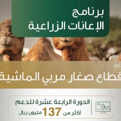 فيصل بن بندر يرعى توقيع عقود شراكة مجتمعية لمشروعات صحية بالرياض والمجمعة
