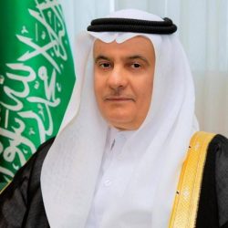 وزارة البيئة والمياه والزراعة تبدأ اعادة تأهيل مواقع الغابات التي تعرضت للحرائق مؤخرا
