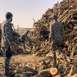 القبض على تشكيل عصابي من وافدين بتهمة سرقة المصوغات الذهبية من المتاجر