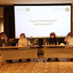 السعودية تحرز تصنيف الخمس نجوم بتقييم APEX
