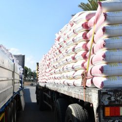 صحة الرياض تدعو زوار مهرجان الابل الالتزام بأنظمة السلامة المرورية
