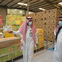 الأمن البيئي يضبط 46 مخالف لنظام  المراعي والغابات بالرياض