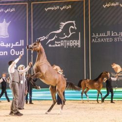 الديوان الملكي : وفاة صاحب السمو الملكي الأمير تركي بن ناصر بن عبد العزيز