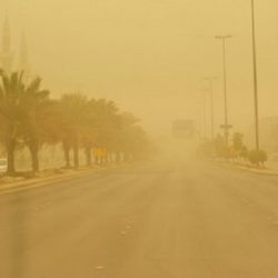 الولايات المتحدة تسجل 164,876 إصابة مؤكدة و 3,532 حالة وفاة بفيروس كورونا