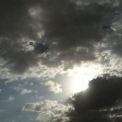 شرطة الرياض تقبض على شخص تباهى بحيازته سلاحاً نارياً