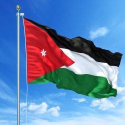 المعلمي يجتمع افتراضياً مع مجموعة دول منظمة التعاون الإسلامي المعنية بأزمة أقلية الروهينجا