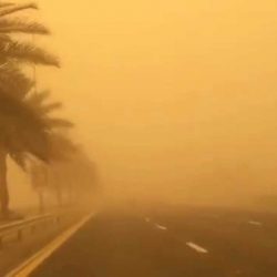 أمانة منطقة جازان تنزع ملكية عقارات لتوسيع طريق الملك فيصل بصبيا