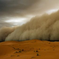 إغلاق 6 مساجد مؤقتاً بمنطقتين بعد ثبوت 6 حالات إصابة كورونا بين صفوف المصلين