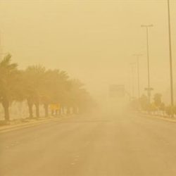 إطلاق سجل المربي عبر منصة أنعام بلس لخدمة مستفيدي الثروة الحيوانية