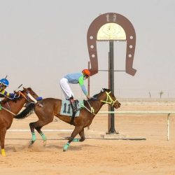 حالة الطقس المتوقعة اليوم الأحد