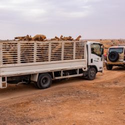 المملكة تدعو مجلس الأمن إلى الاستمرار في تحمل مسؤوليته تجاه مليشيا الحوثي لوقف تهديداتها للسلم والأمن الدوليين