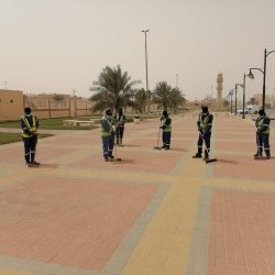 القبض على 4 مواطنين لتحرشهم بفتاتين في الطائف