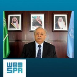 الأمم المتحدة : المفاوضات مستمرة مع المتمردين الحوثيين بشأن ناقلة النفط صافر ‏