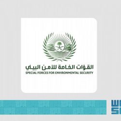 القبض على مواطنَين و5 مقيمين ارتكبوا 7 جرائم في مكة