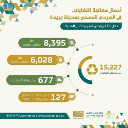 ولي العهد يتناول ما حققته برامج ومشروعات رؤية 2030 خلال الأعوام الخمسة الماضية