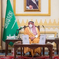 محمية الملك عبد العزيز الملكية تزرع 100 ألف شتلة ضمن المرحلة الأولى من مشروع تشجير المحمية