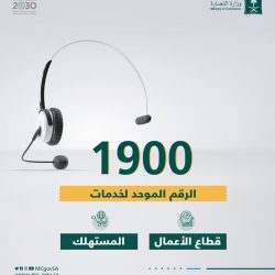 خادم الحرمين يأمر بترقية عدد من أصحاب الفضيلة أعضاء النيابة العامة