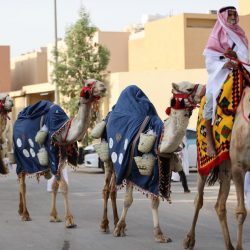 غرامة ٥٠٠ الف ريال بحق مخالفين لنظام الإعلام المرئي والمسموع