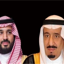 ضبط عدد من المعدات استخدمت بنهل الرمال دون تصريح بالشرقية