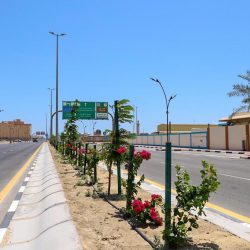 بلدية الجبيل رفع 20 طن نفايات ضمن جهودها في معالجة التشوهات البصري