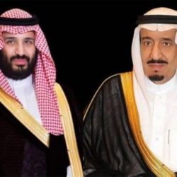 المملكة تؤكد دعمها لمدير عام الوكالة الدولية للطاقة الذرية وتدعو إيران للتعاون مع الوكالة بشكلٍ فوري وشفاف