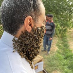 صحة الشرقية تنظم حملات للتبرع بالدم تزامناً مع اليوم العالمي للتبرع بالدم