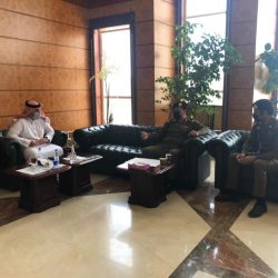 طرح مجموعة من الفرص الاستثمارية للأنشطة الاجتماعية والسكنية للعمالة بالشرقية