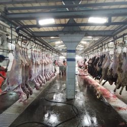 الكلية التقنية للبنات بالطائف تستمر بتلقي طلبات القبول لغاية٢٧ ذو القعدة