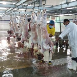 بلدية عريعرة تكمل جاهزيتها لاستقبال عيد الأضحى المبارك