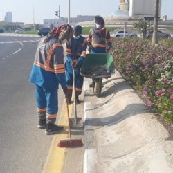 بحيرة البط بالخبر تشهد إقبال ملحوظ من الزائرين