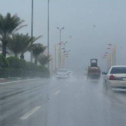منظمة التعاون الإسلامي تدين التفجير الإرهابي في سوق شعبية ببغداد