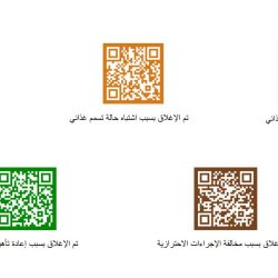 إحباط 6 محاولات لتهريب أكثر من 1.1 مليون حبة كبتاجون بمنفذ الحديثة