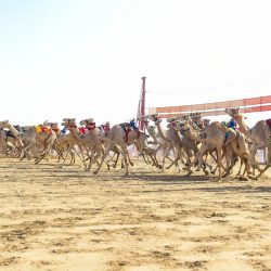 مركز القلب بالجوف ينجح باستخدام منظار القلب