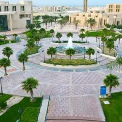 الفيصل رئيساً للشؤون الخاصة لخادم الحرمين والمزيد للأمن السيبراني والقاضي نائباً لوزير الرياضة