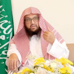 منظومة النقل والخدمات اللوجستية بعام المملكة الـ91 منجزات وطنية نحو رؤيةً طموحة