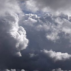الأمر بالمعروف تفعّل حملتي رب اجعل هذا البلد آمناً ومكارم الأخلاق بالمجمعة
