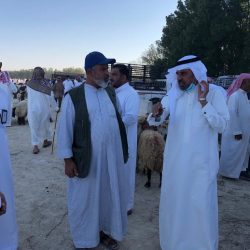 جامعة الملك فيصل تعلن إصدار عدد خاص بمجلتها العلمية لأبحاث السعودية الخضراء