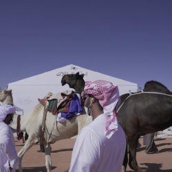 الهزاع مديراً لوحدة الإصلاح الأسري بتعارفوا