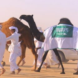 المركز الوطني للأرصاد : ضباب على منطقة المدينة المنورة