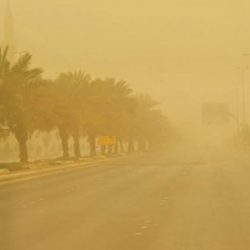 يقام في مسقط 19 الجاري الكشفت عن تفاصيل مهرجان سينيمانا الثالث
