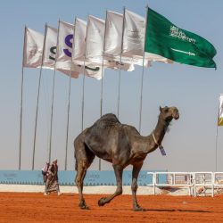 شرطة محافظة الأحساء تطلق فعاليات حملة مكارم الأخلاق
