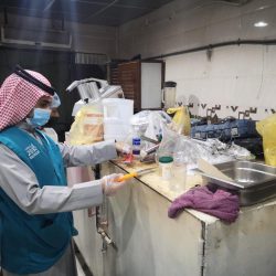 افتتاح معرض أنا عربية وسط مشاركة 260 جناحًا