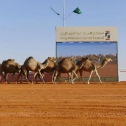 مصر تعرب عن مواساتها للسودان إثر حادث انهيار منجم بولاية غرب كردفان