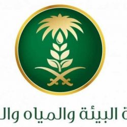 بلدية الخبر تدشن نافورة استعراضية للتشكيلات المائية والموسيقية
