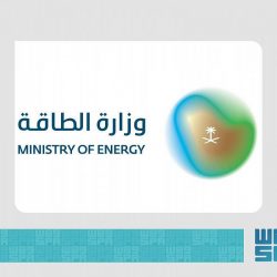 “الأرصاد”: عاصفة ترابية وسحب رعدية على هذه المناطق